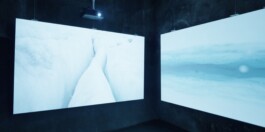 Lutz Stautner